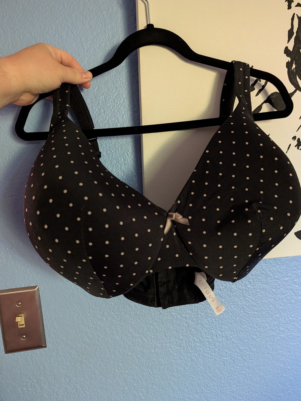 Lane Bryant Cacique Bra 42F EUC Lightly Lined Full Coverage Polka Dots